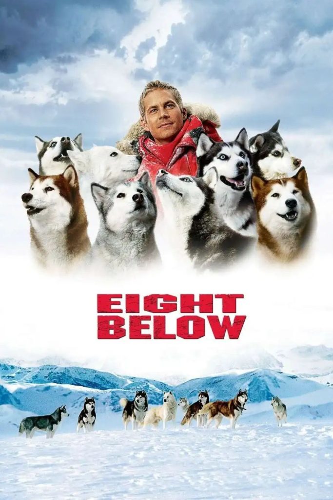 ee7969e0a9117810d6055d01b38eac651762358124895206203-683x1024 Movie: Eight Below