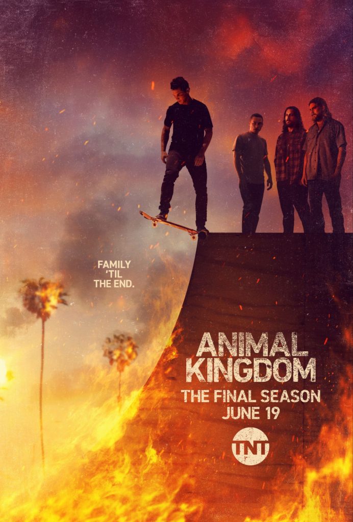 ems3033926014215719900-692x1024 Series: Animal Kingdom Season 1-6