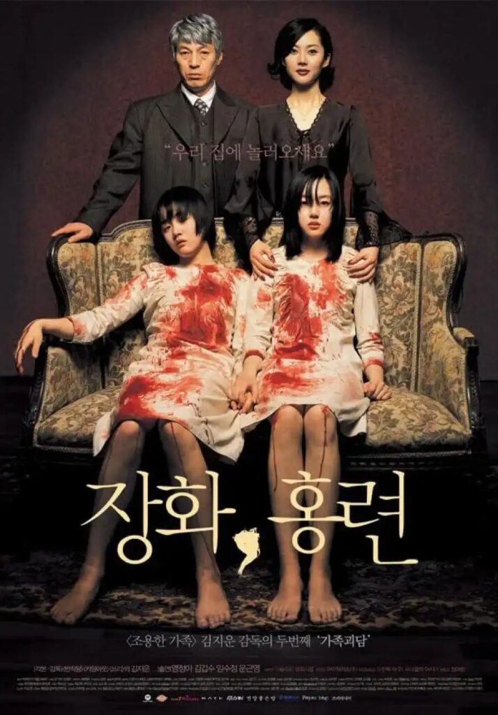 3a50c824f633465d071be4b8ad43bb6f2382863140122555405-714x1024 Movie: A Tale Of Two Sisters (Korean)